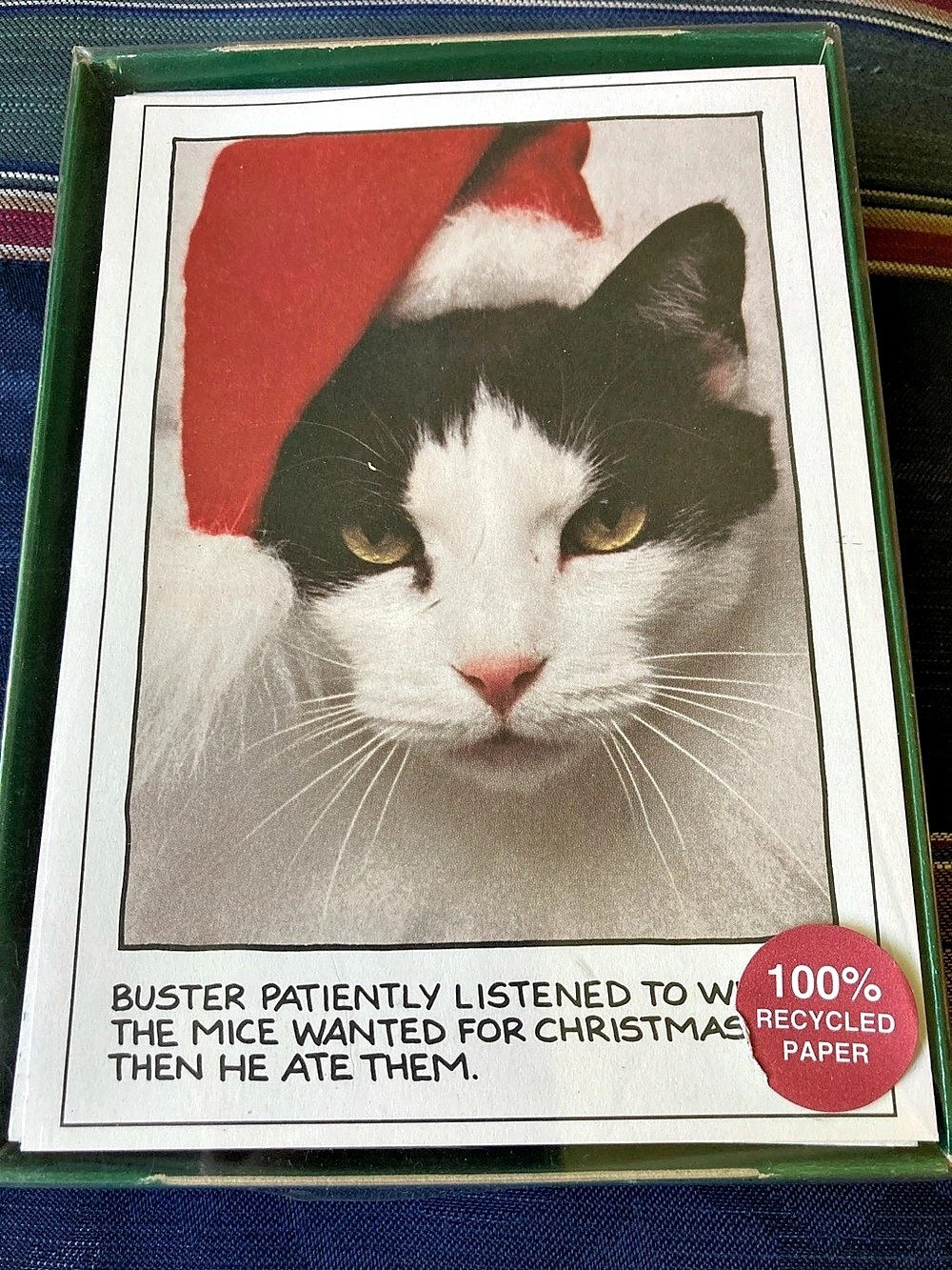 New-Recycled Paper Greetings Buster the Cat Christmas Boxed Cards Set-20 cards-2